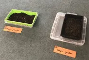 Year 3 Soil Searching 2