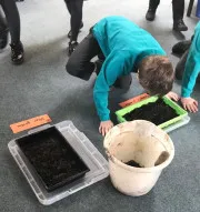 Year 3 Soil Searching 3