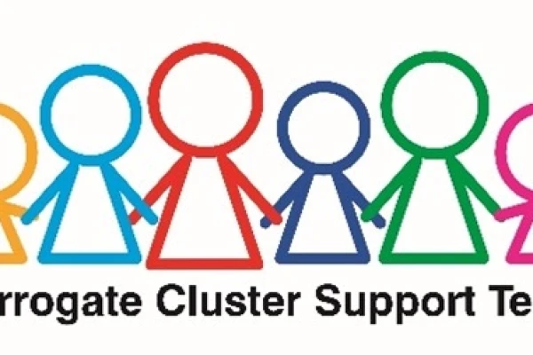 Harrogate Cluster