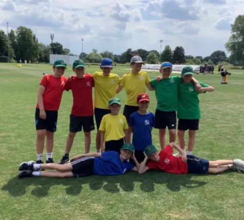Cricket success