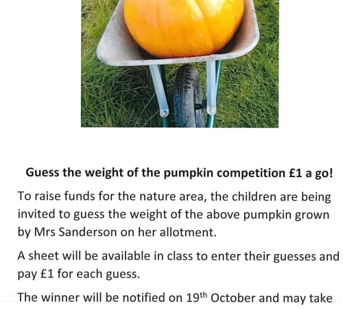 Guess the weight