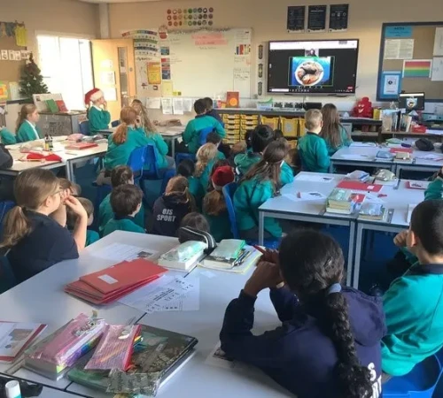 Year 6 and Katherine Rundell