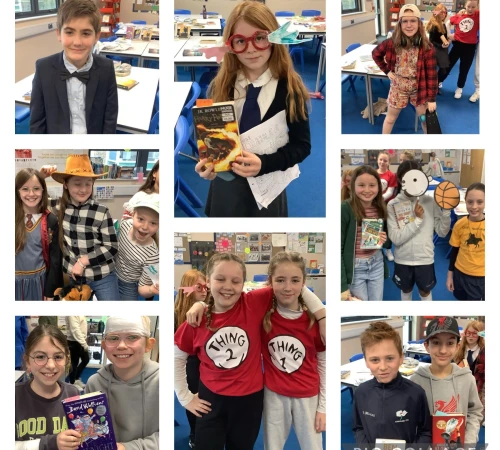 wbd #17